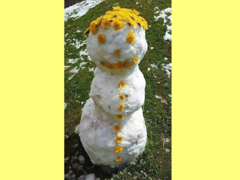 Очаровательного майского снеговика слепили в соседнем с Лыткарино округе Новости Лыткарино 