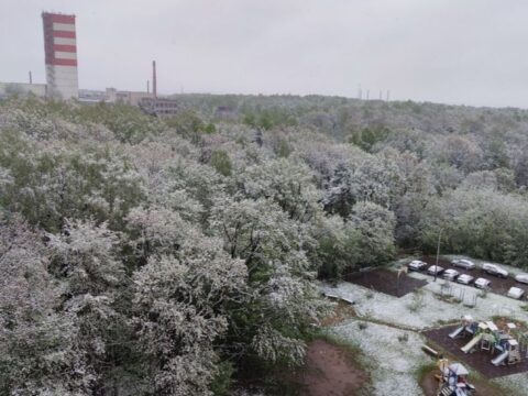 В Лыткарине выпал майский снег Новости Лыткарино 
